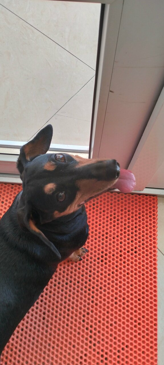 Гостиница Афродита Агой-101