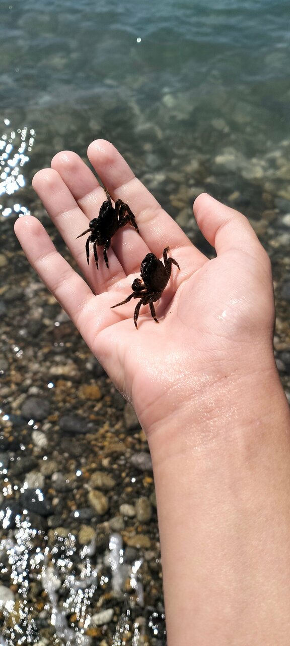 Гостиница Афродита Агой-70