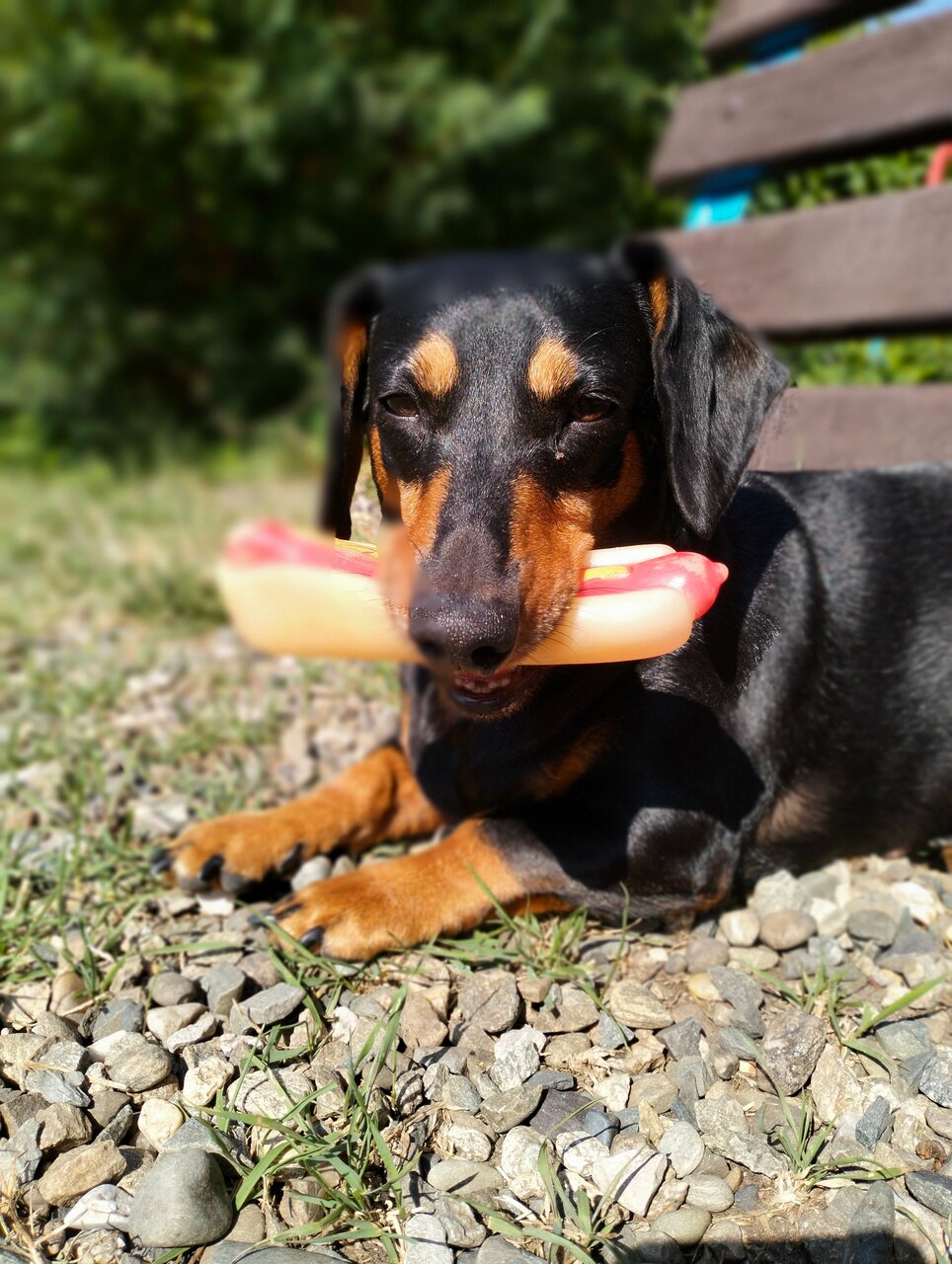 Гостиница Афродита Агой-75