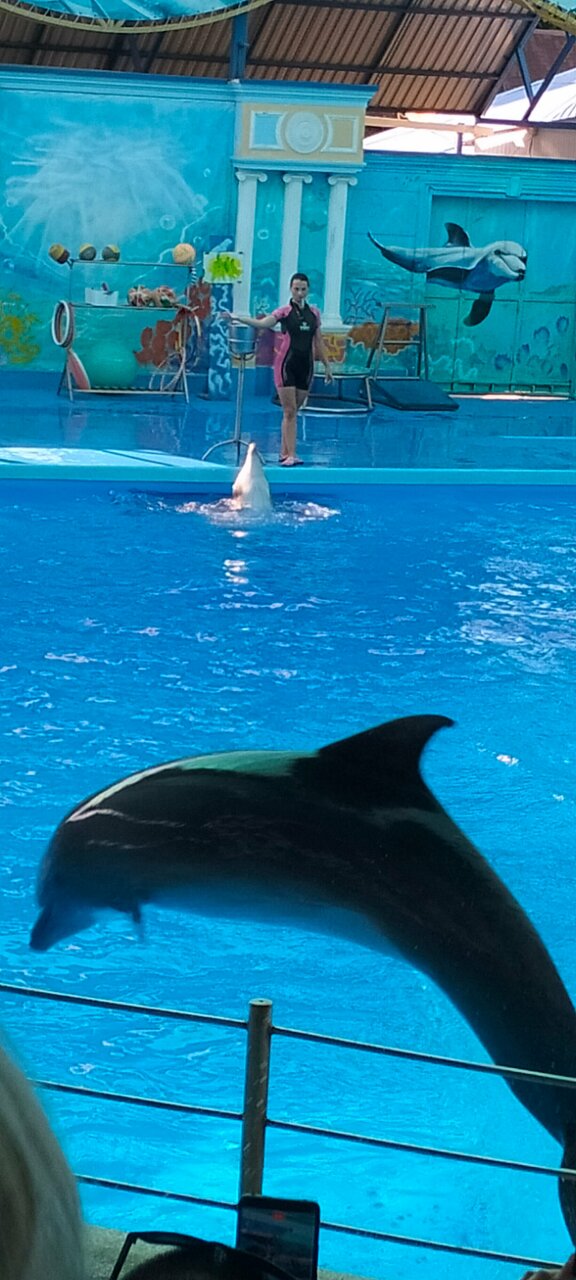 Гостиница Афродита Агой-67