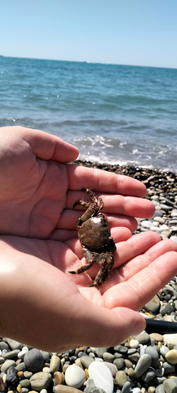 Гостиница Афродита Агой-90