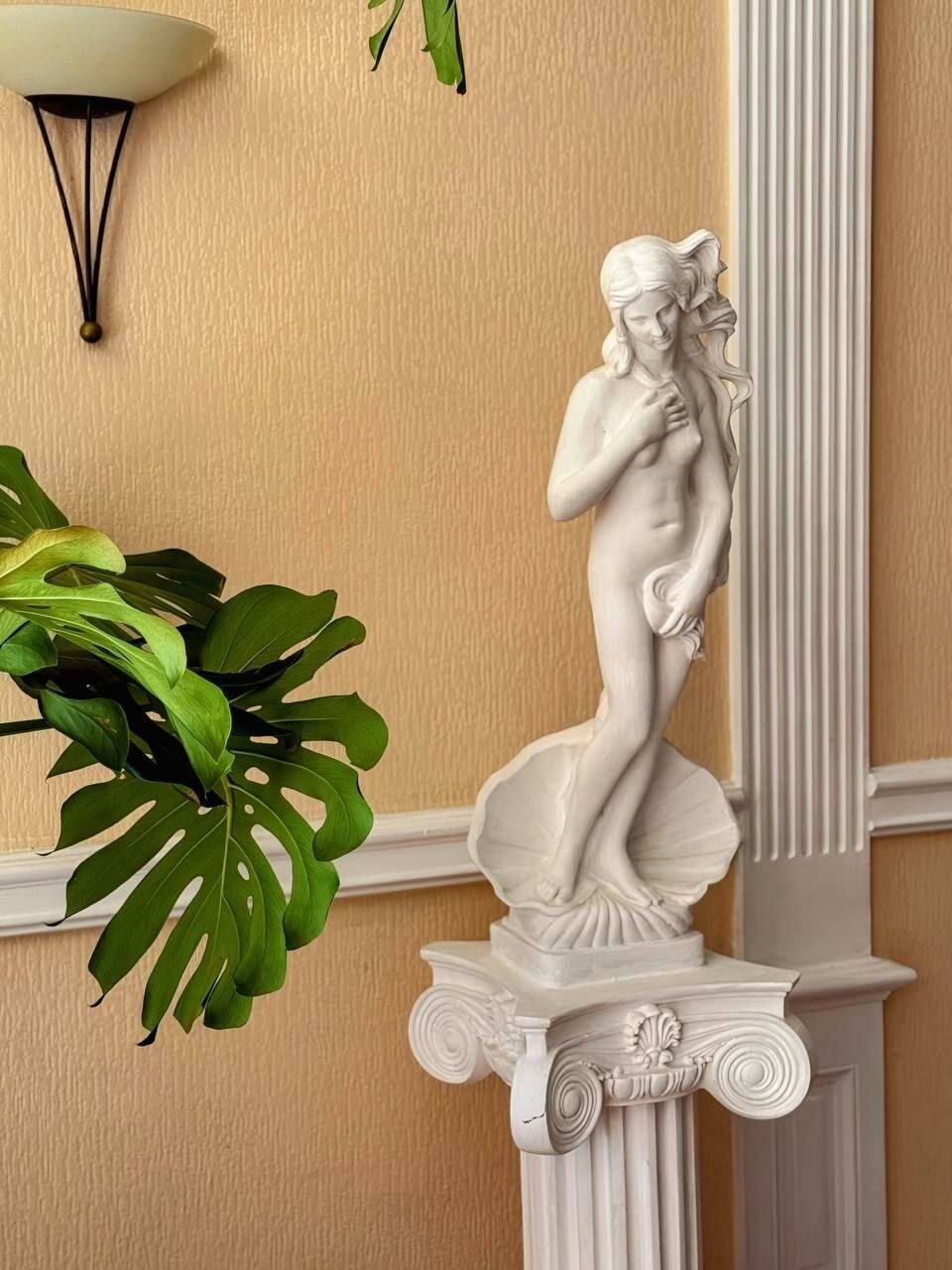 Гостиница Афродита Агой-61