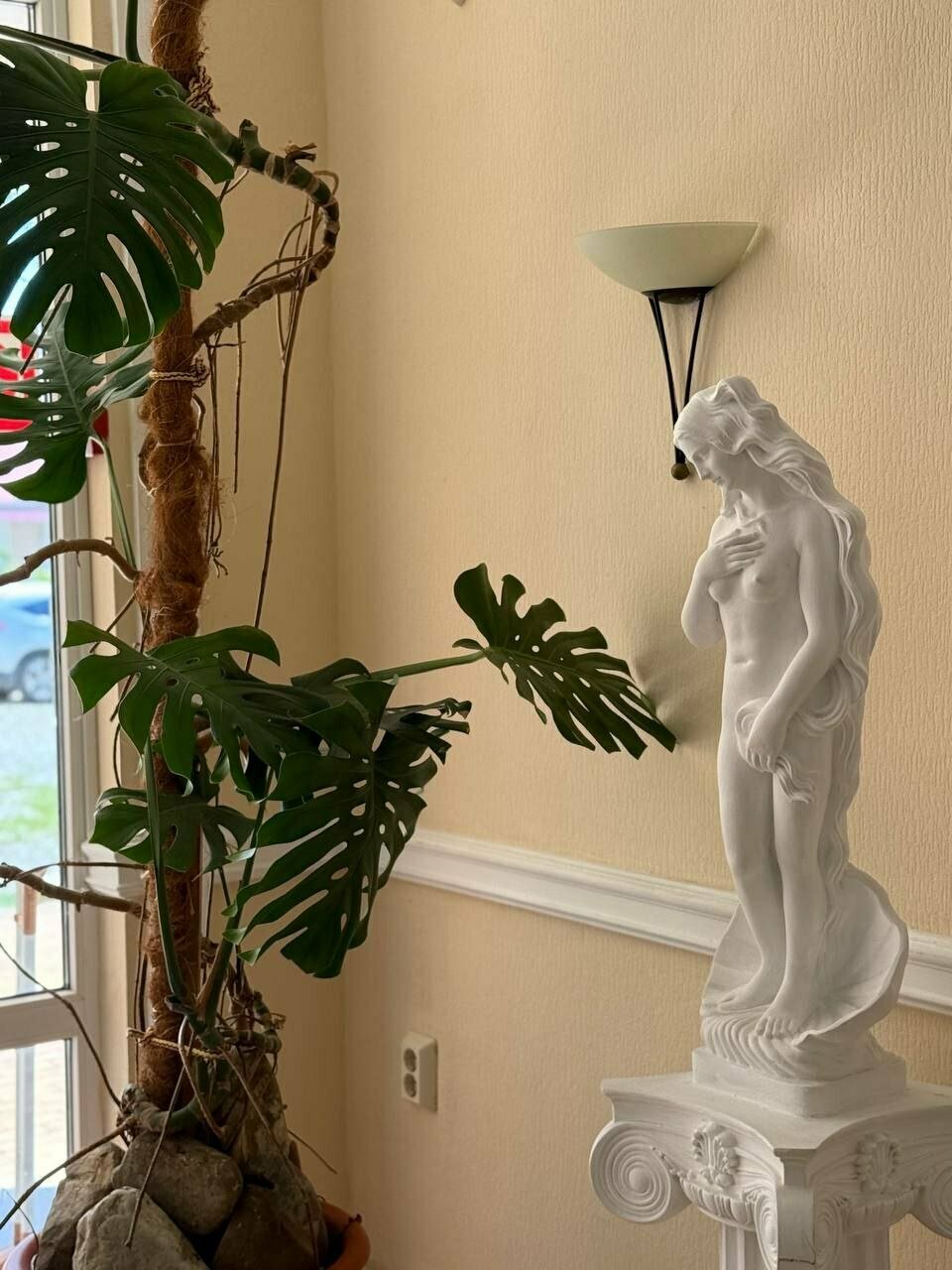 Гостиница Афродита Агой-29