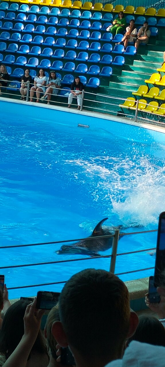 Гостиница Афродита Агой-76