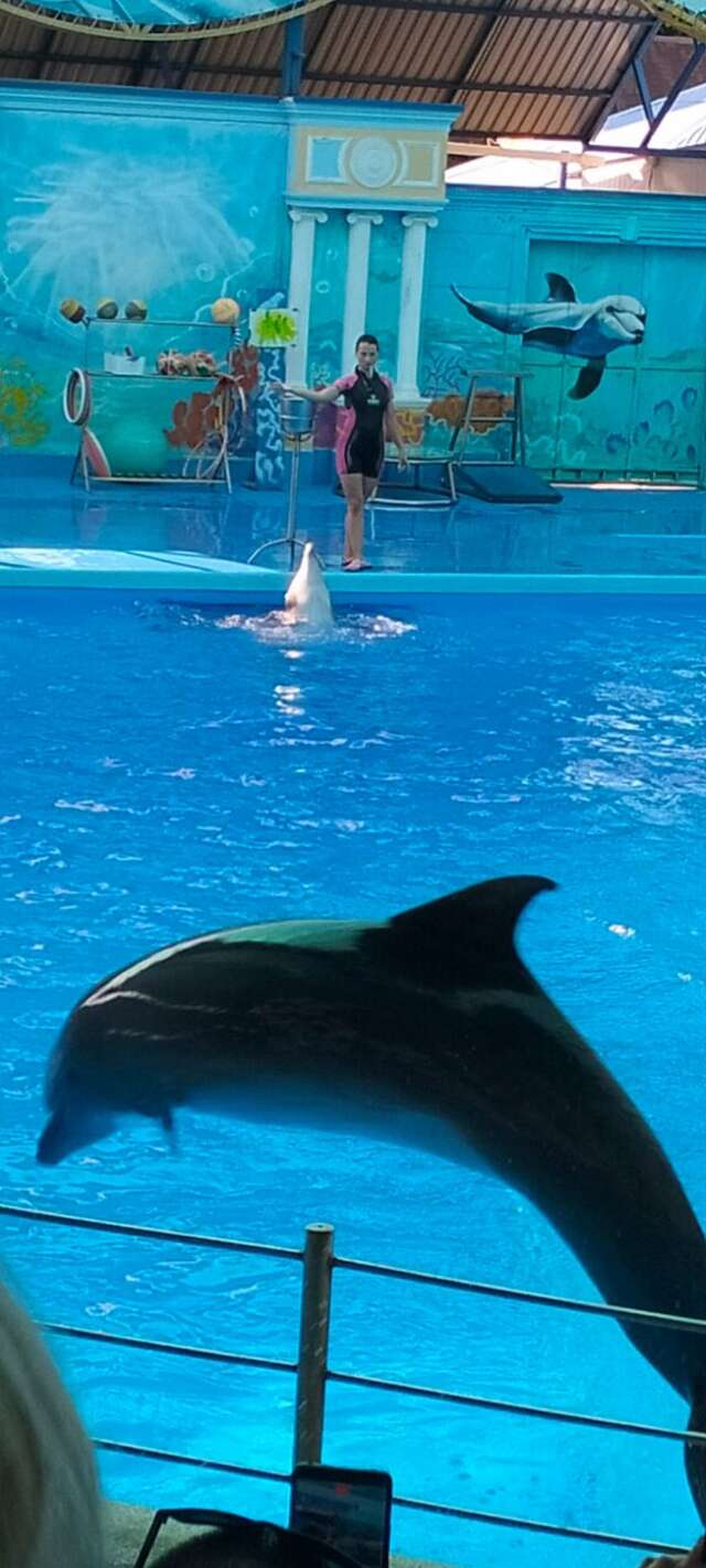 Гостиница Афродита Агой-66