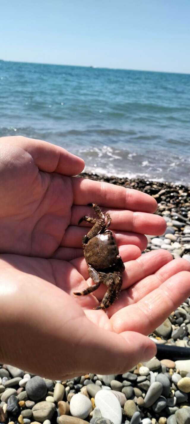 Гостиница Афродита Агой-89